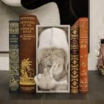 Emperor Palpatine-Palpatine császár Book Nook – Könyvtámasz