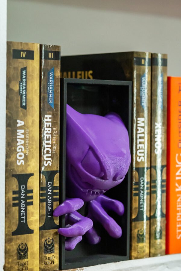 Pokémon - Haunter Book Nook