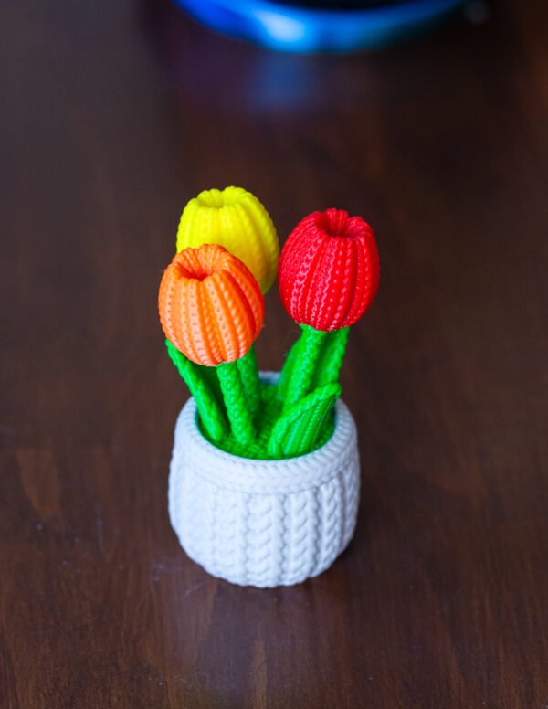 Tulipán